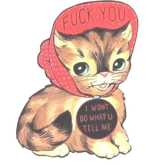 Meet your Posher, Veronica - Picture 1 of 1